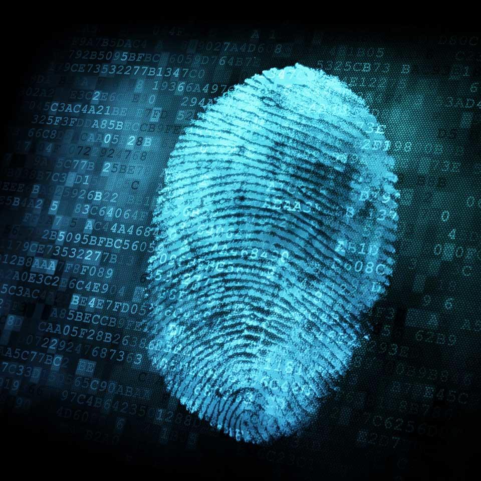 close up of a fingerprint