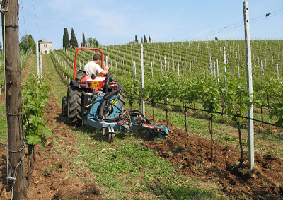 Images A. Spedo e Figli Srl