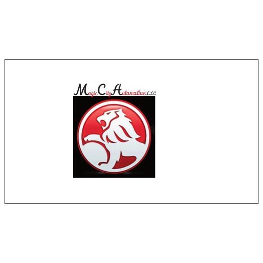 Magic City Automotive L.L.C.