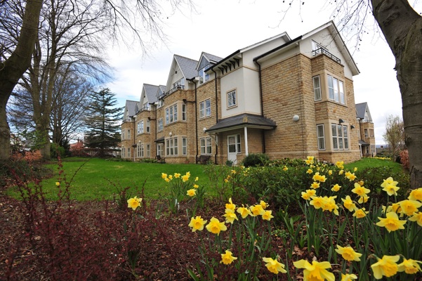 The Beeches