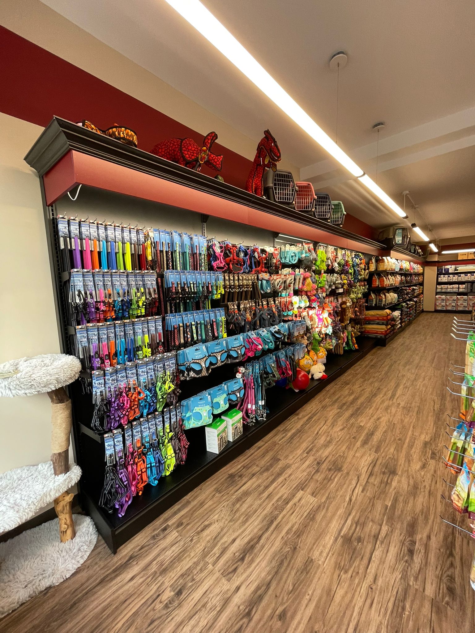 Images Pitou Minou & Compagnons Westmount