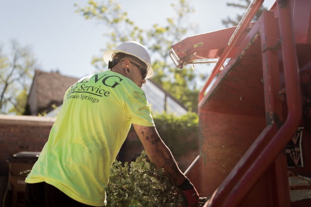 Images King Tree Service