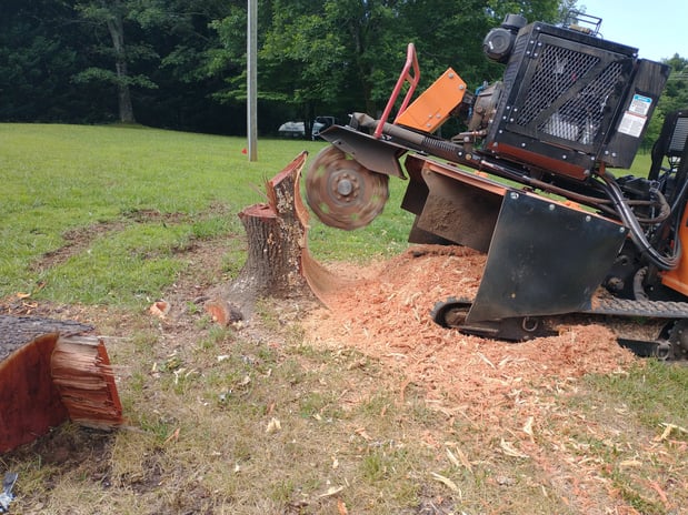 Images Grinder Stump Removal