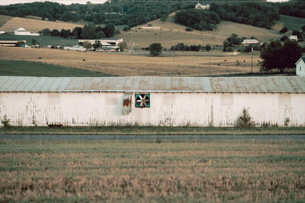 Images On Sunny Slope Farm