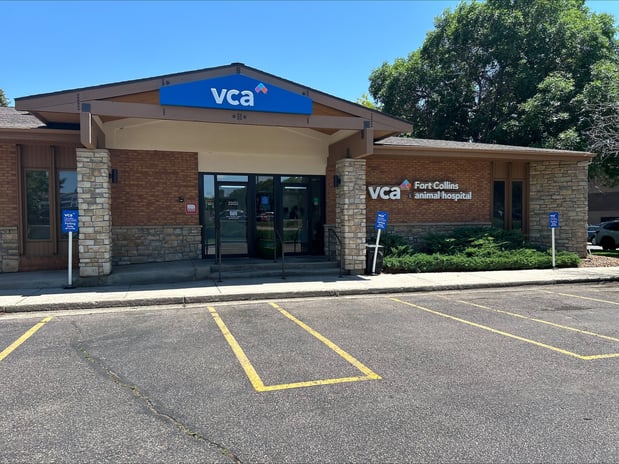 Images VCA Fort Collins Animal Hospital