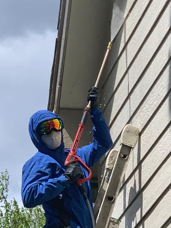 Images Picasso Painting Inc