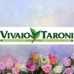 Vivaio Taroni Logo