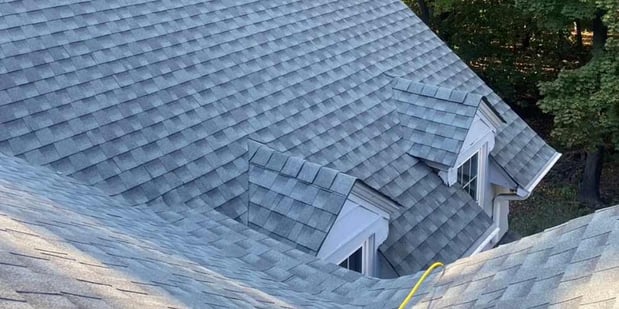 Images Roof Shark