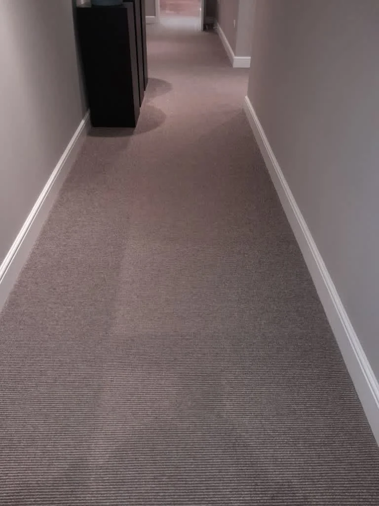 Images Able Clean