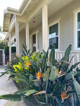 Images Akua Addiction Treatment For Women - Orange County