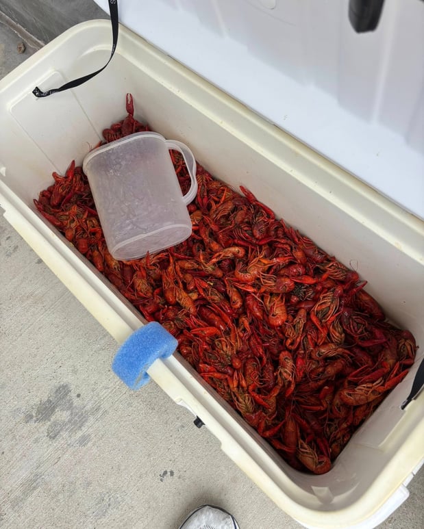 Images Michael Loolara - State Farm Insurance Agent