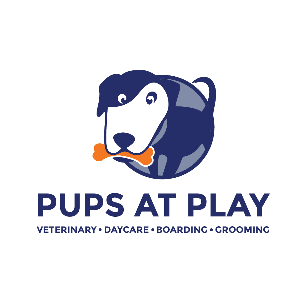 Pups @ Play Livingston - Livingston, NJ 07039 - (973)863-3031 | ShowMeLocal.com