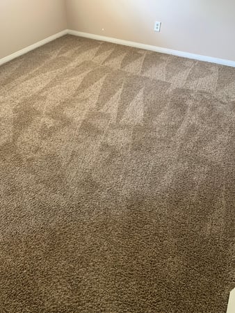 Images Fresh Carpet Clean Houston