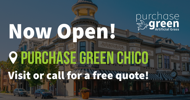 Images Purchase Green Artificial Grass - Closed