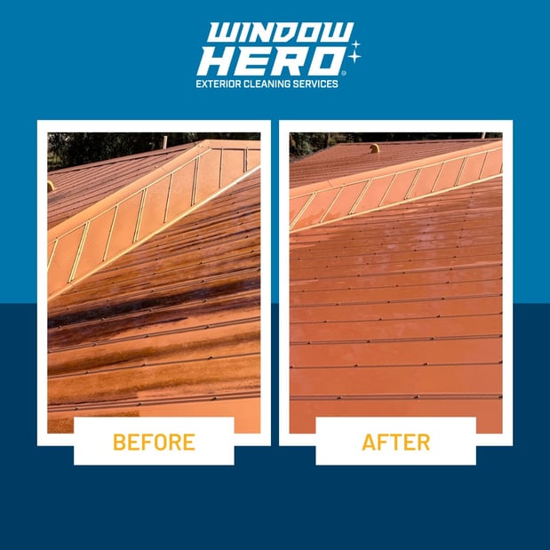 Images Window Hero Raleigh