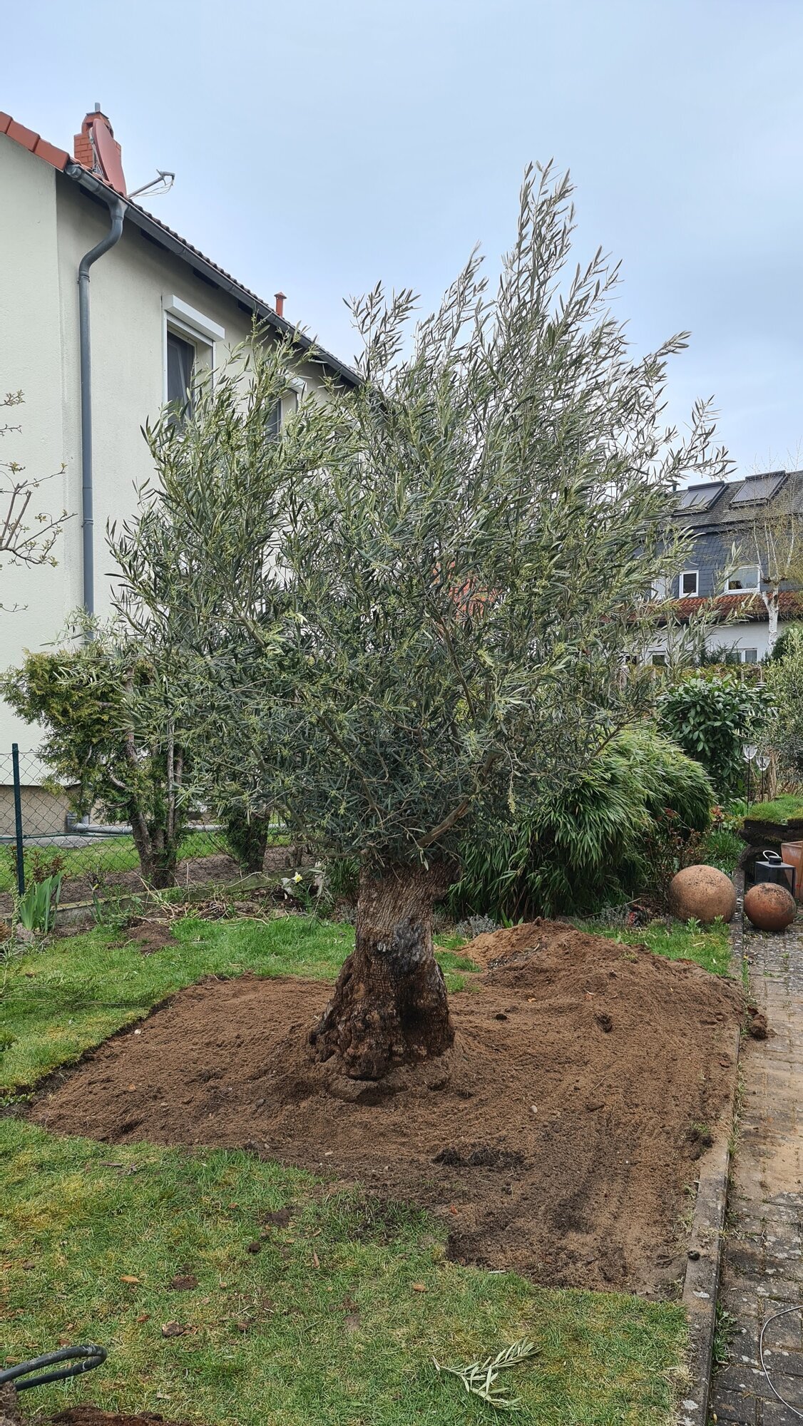 Hausmeisterservice & Gartenstyling in Offenbach Am Main
