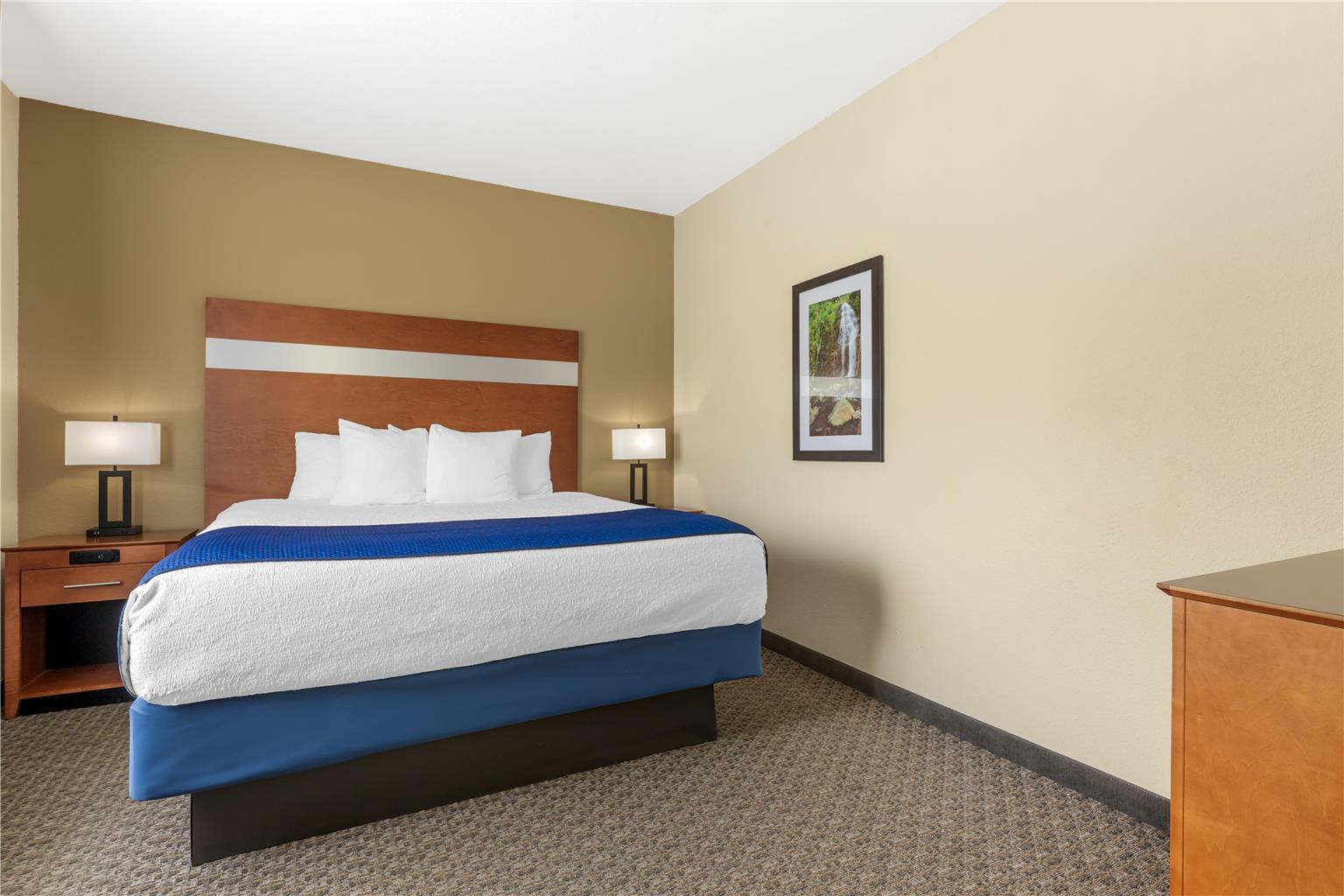 Suite - 1 King Bed w/ 2 Rooms
