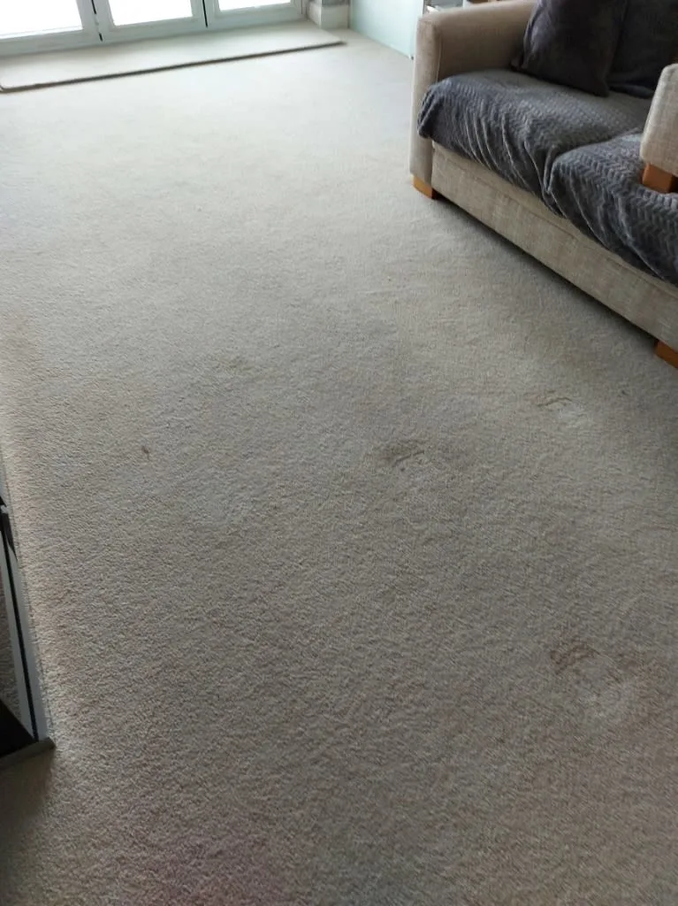 Images Titanium Cleaning