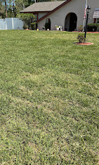 Images Central Florida Exterior Solutions LLC