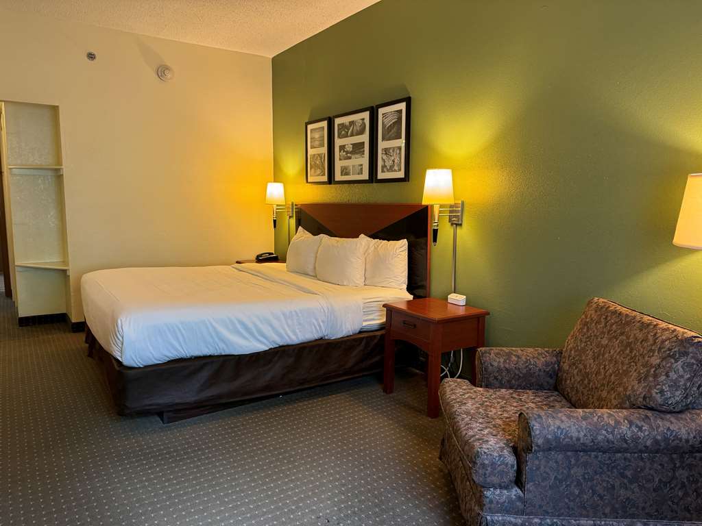 King Guestroom