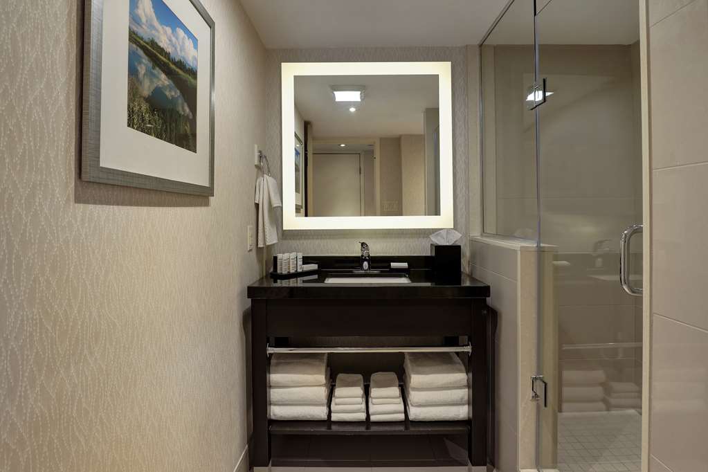 Embassy Suites by Hilton Niagara Falls Fallsview in Niagara Falls: Guest room bath