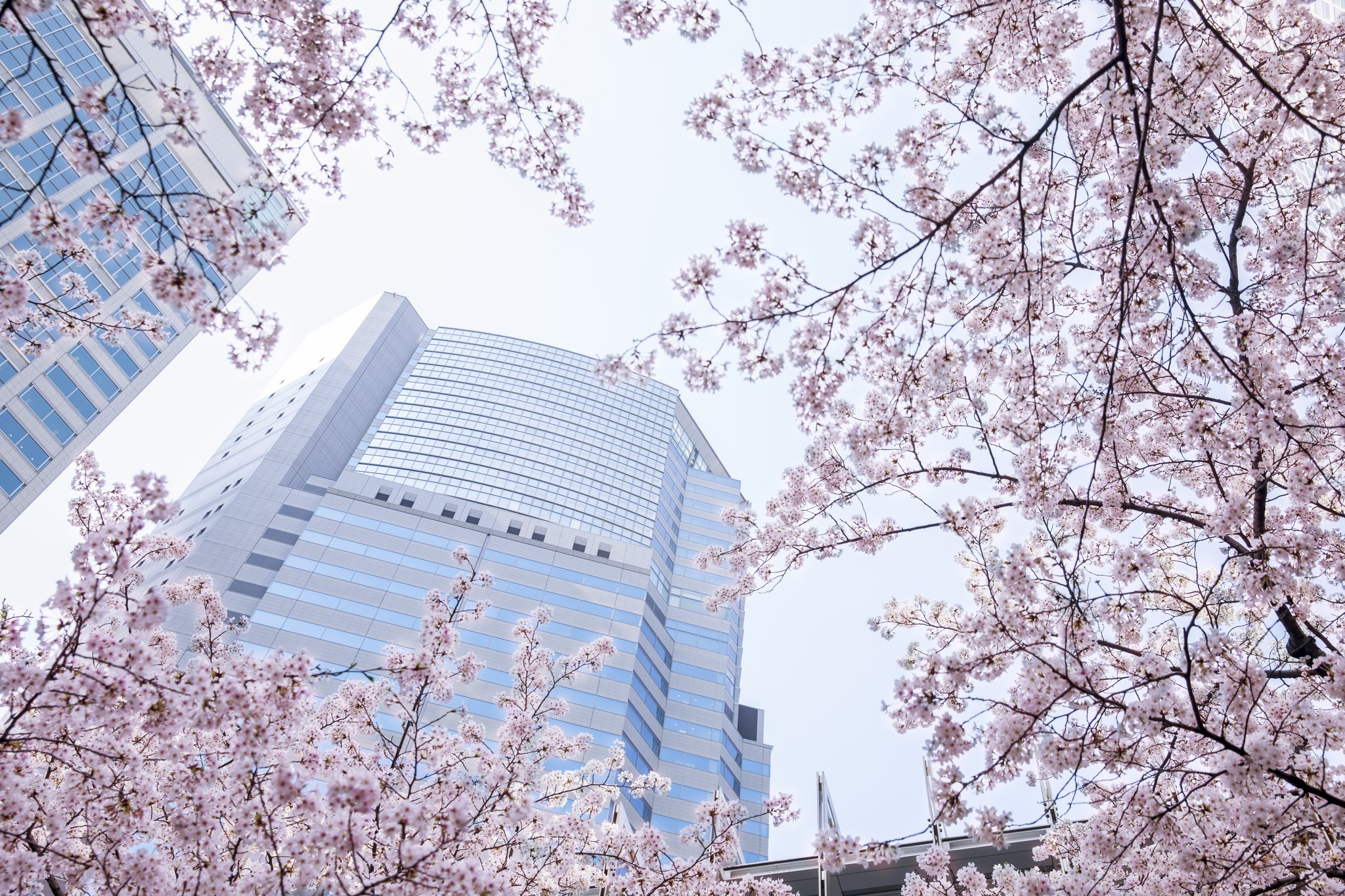 Images InterContinental the Strings Tokyo by IHG