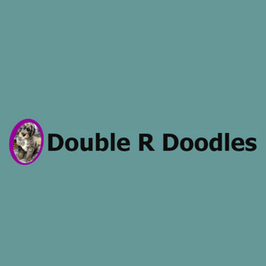 Double R Doodles Logo