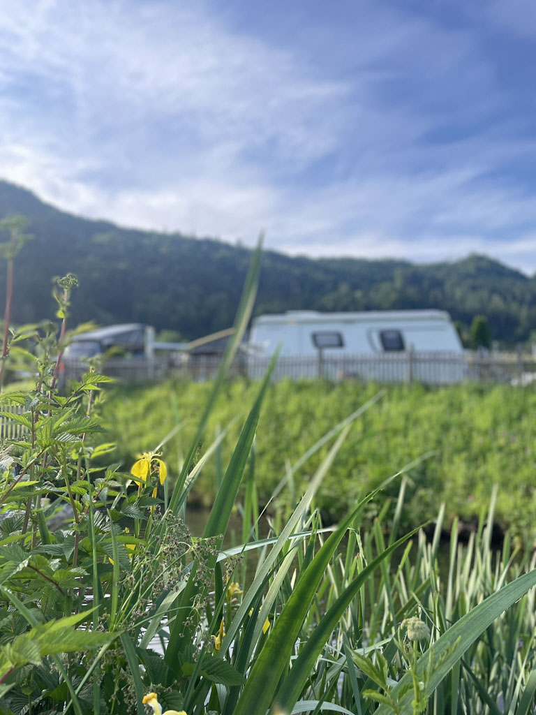 Bild 38 von Terrassen Camping Ossiach