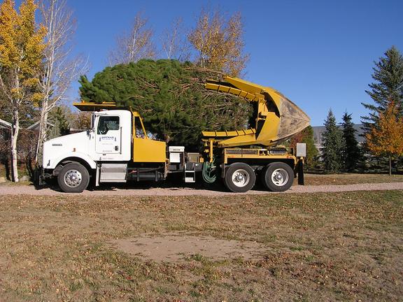 Images Bowman Tree Moving, Inc.