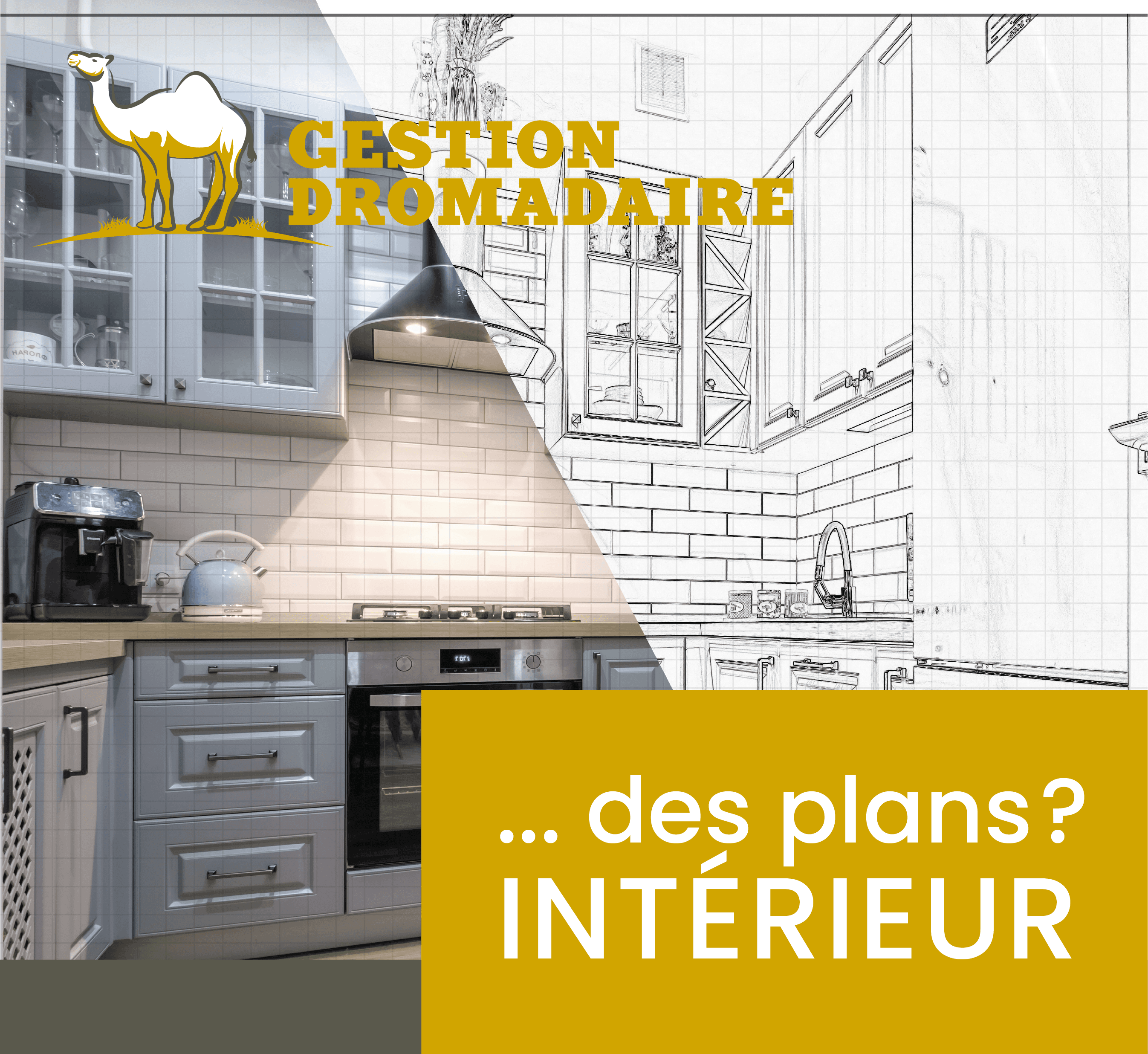 Images Gestion Dromadaire Inc