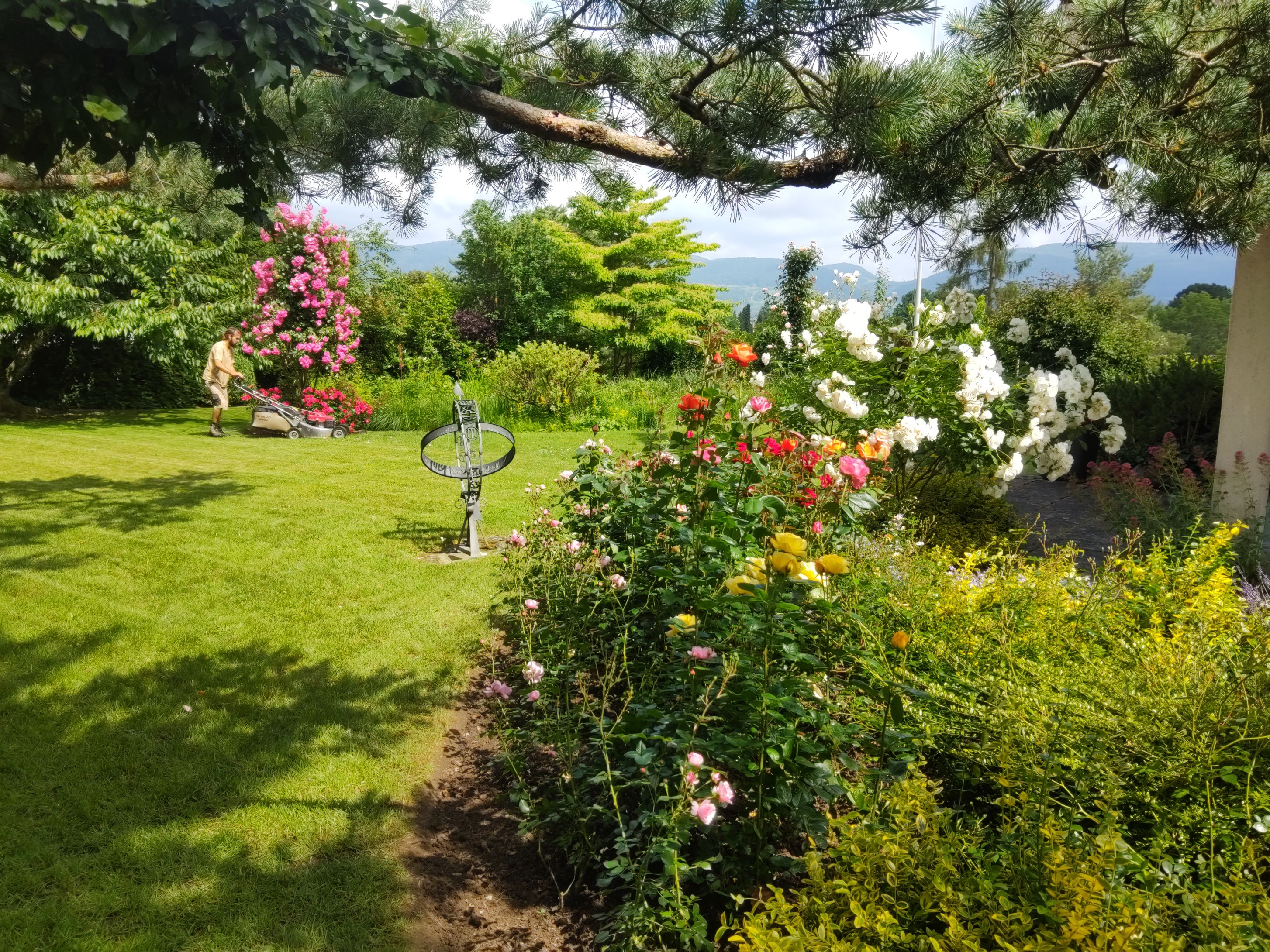 Bilder MM Gartenpflege GmbH