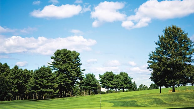 Images Greens at Royce Brook