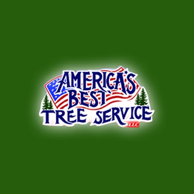 Healy's America's Best Tree Service