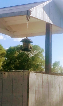 Mogote Meadow Cabins & RV Park Image