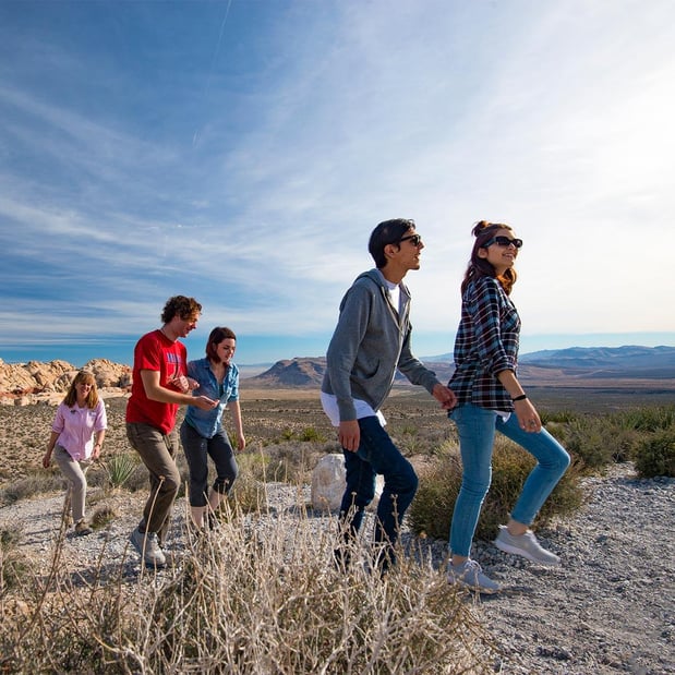 Images Pink® Jeep Tours Las Vegas