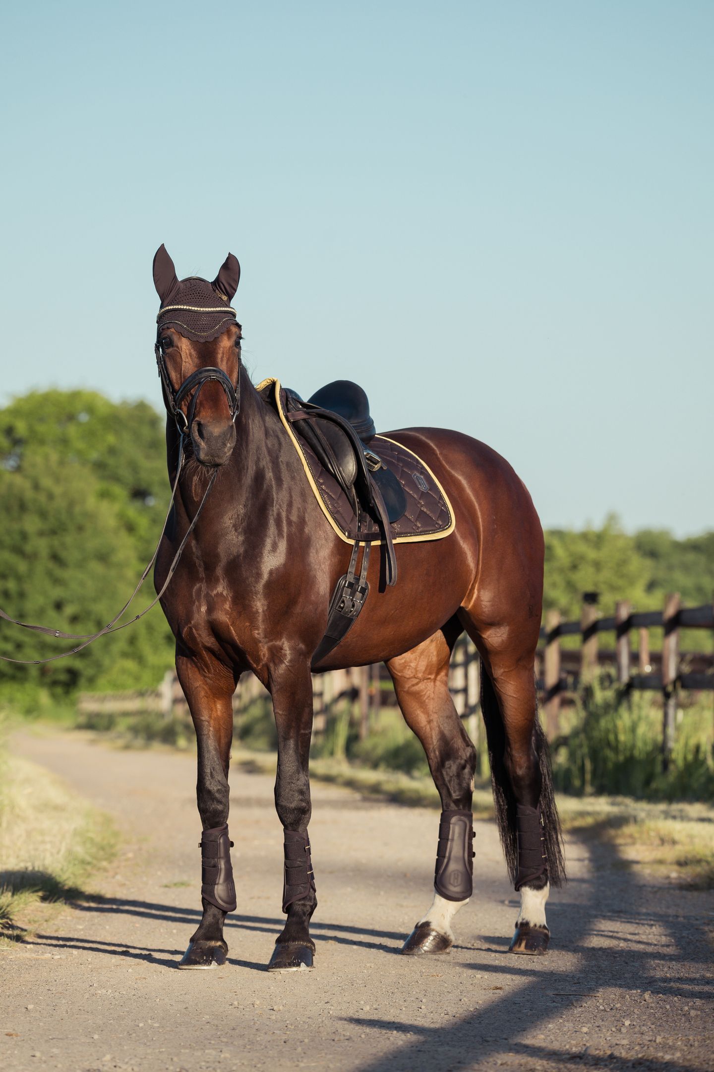 Sattelkammer by Reitsport-Total - GALLERY