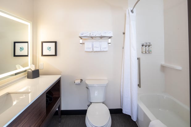Images Holiday Inn & Suites Detroit - Troy by IHG