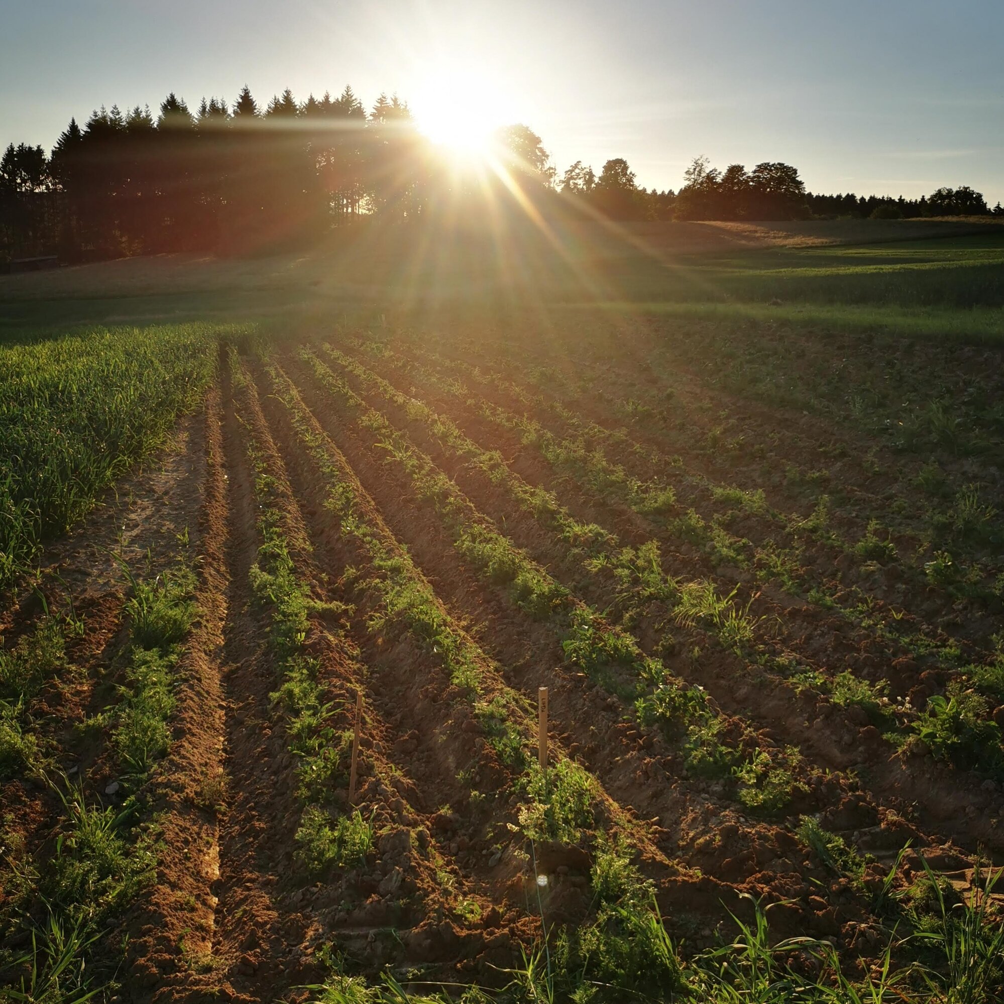 Kochstars Benjamin Hyttrek, Nonnenhöfchen 7 in Stebach