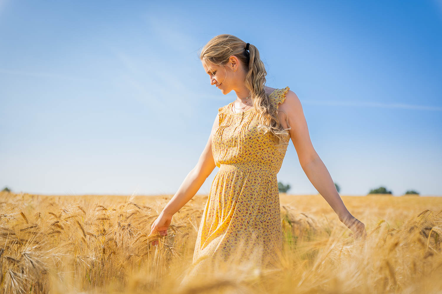 FOTOFACTUM, Fackenburger Allee 60 in Lübeck