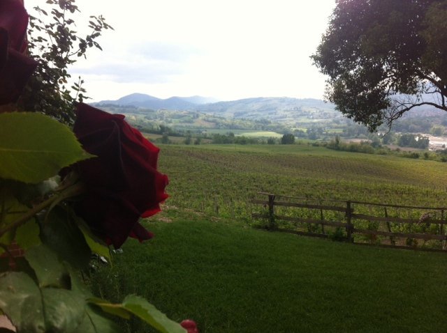 Images Agriturismo La Colombaia