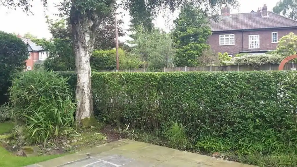 Images Star Fencing and Landscaping