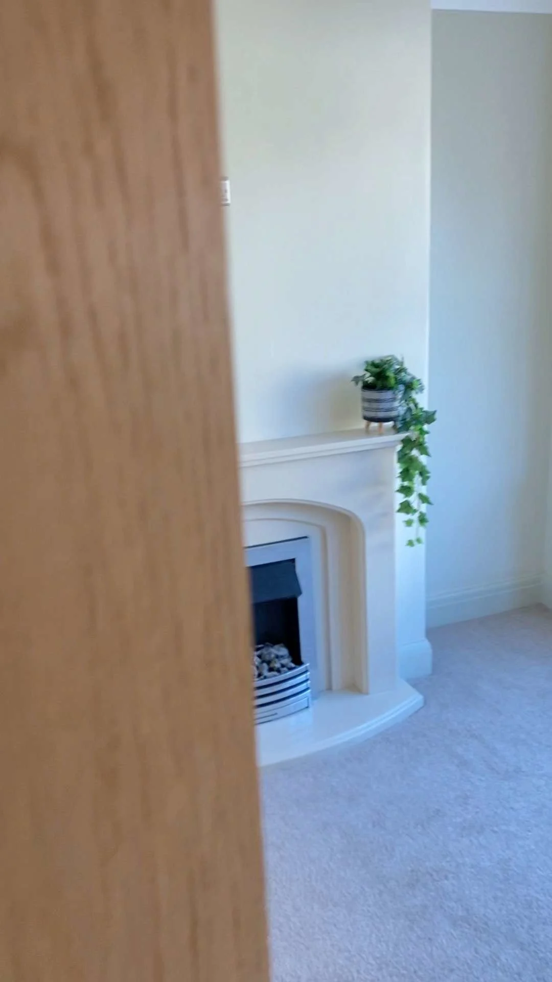 Images SB Plastering