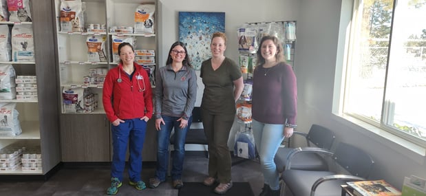 Images VCA Peone Pines Animal Hospital