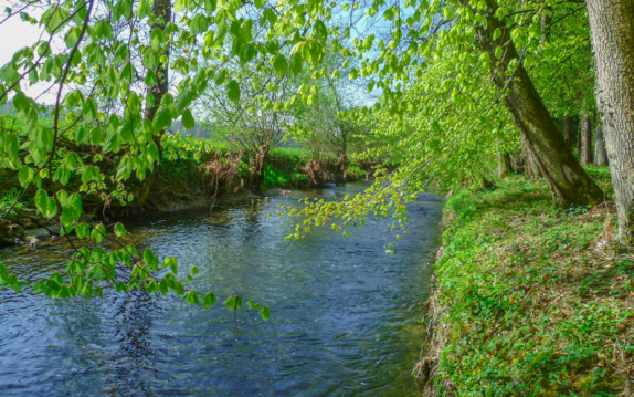 Angela Büchel Bestattungen, Luzernstrasse 9 in Derendingen