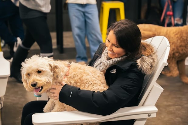 Images Crate Escapes Dog Park + Bar