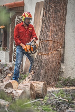 Images Complete Lawn and Tree Care by Saenz & Co.