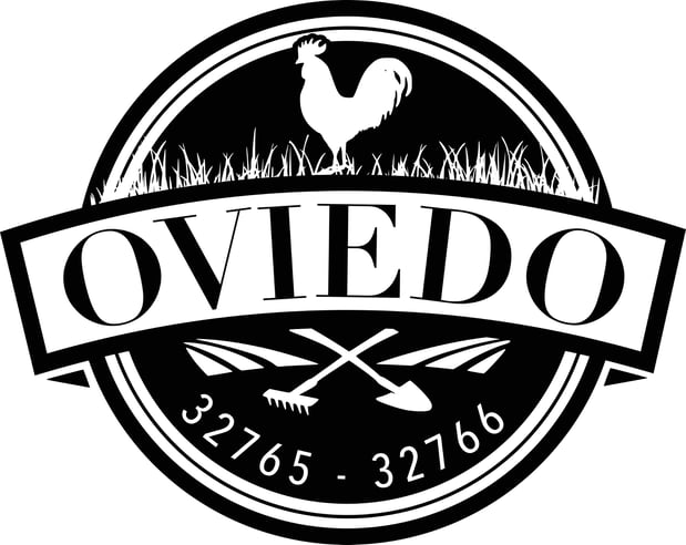 Images My Oviedo Marketing