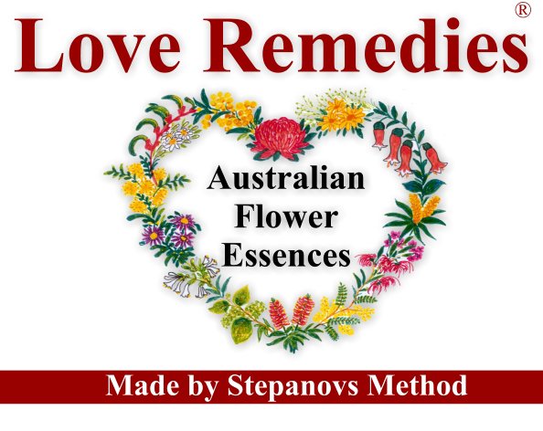 WUNDER-SCHÖN Naturprodukte Ltd., Schüttorfer Strasse 1 b in Bad Bentheim