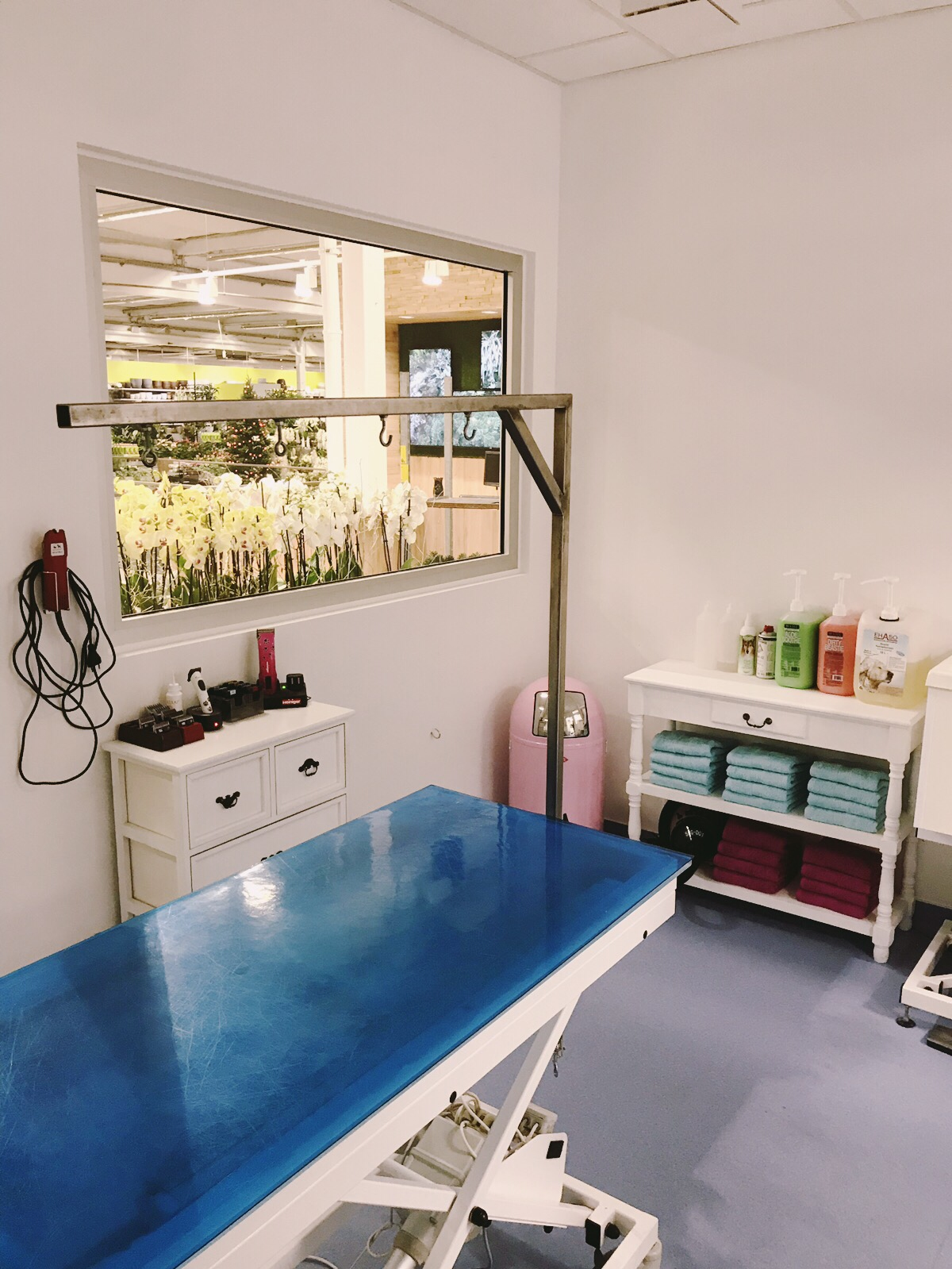 Diva Dogs Hundesalon, Asternstrasse 2 in Teltow