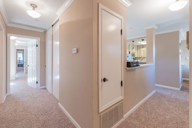 Images Monica Betancur, REALTOR | Compass